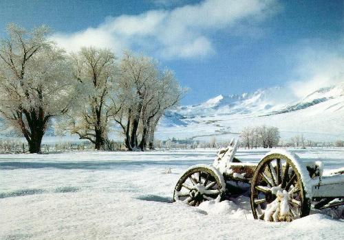 雪景色の写真を見て涼むトピ