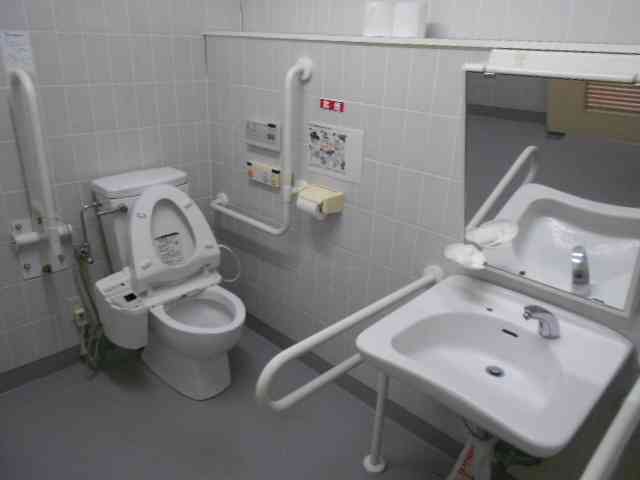 「トイレ手伝って」介護職員、障害者装い10代少女にわいせつ