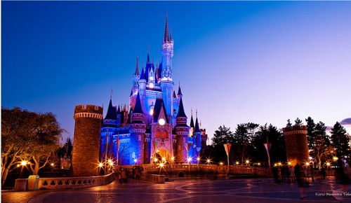 ディズニーランドに行ったら皆さんどれ位お金使っちゃいますか？