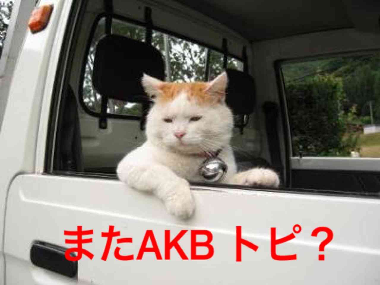 若い時にAKBがあったら、オーディション受けてた方！