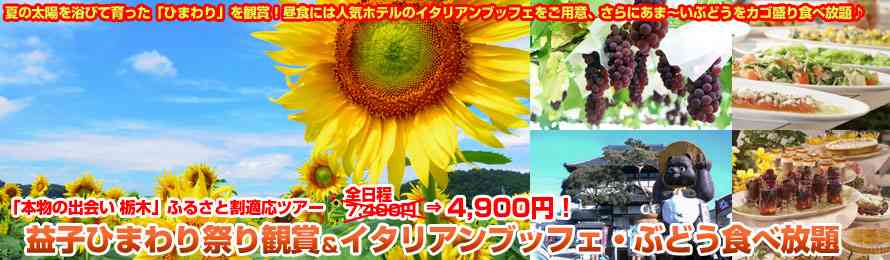 お金のかからない連休の過ごし方