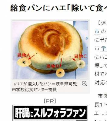 給食パンに生きたゴキブリ! 袋開けたら飛び出した