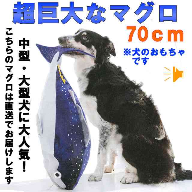 ペットのおもちゃ何使ってますかー?