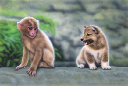 共演してるところを見たことがない芸能人