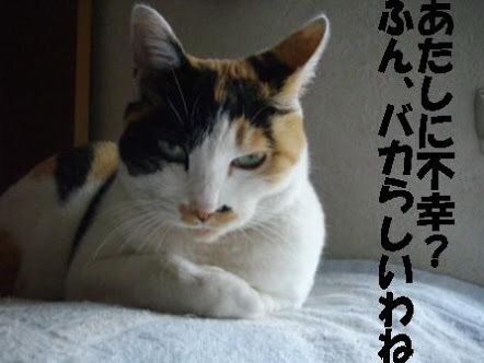 今どん底な人
