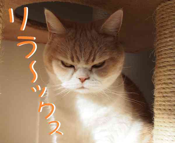 不機嫌な夫の対処法