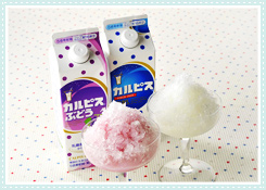 カルピス好きな人！