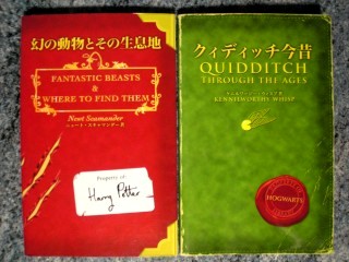 「ハリー・ポッター」の本が好きな人