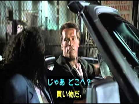 年甲斐もなく買ったもの