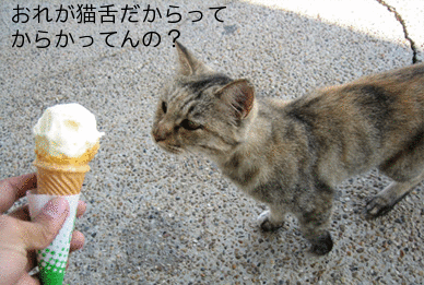 猫舌の人集まれ〜