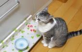 自分のアピールポイント！ありますか？