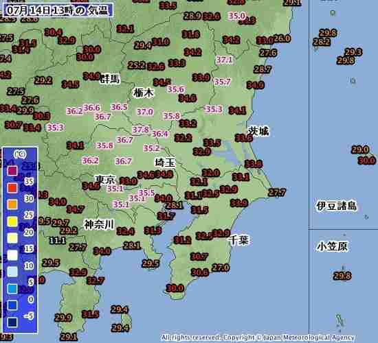 館林市で39.3℃　全国で今年最も高く