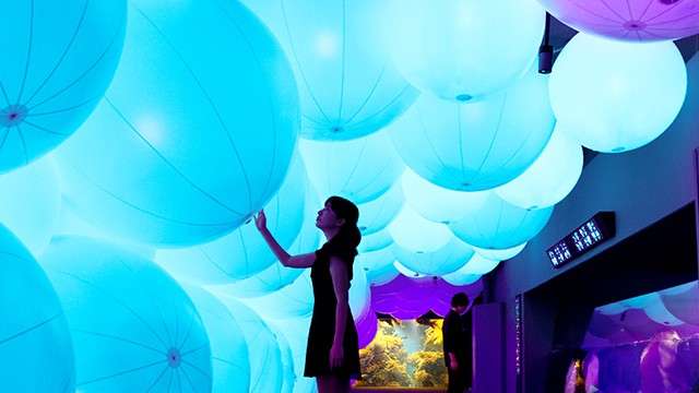 江ノ島水族館の『ナイトアクアリウム』の見所紹介♡ | ANIMALive