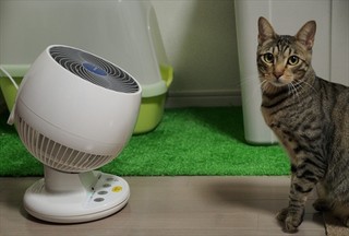サーキュレーターで暖房効果をアップ! ベストな置き場所は意外なあそこ!? (1) 室内を効果的に暖めるには? 流体解析ソフトで解き明かす! | マイナビニュース