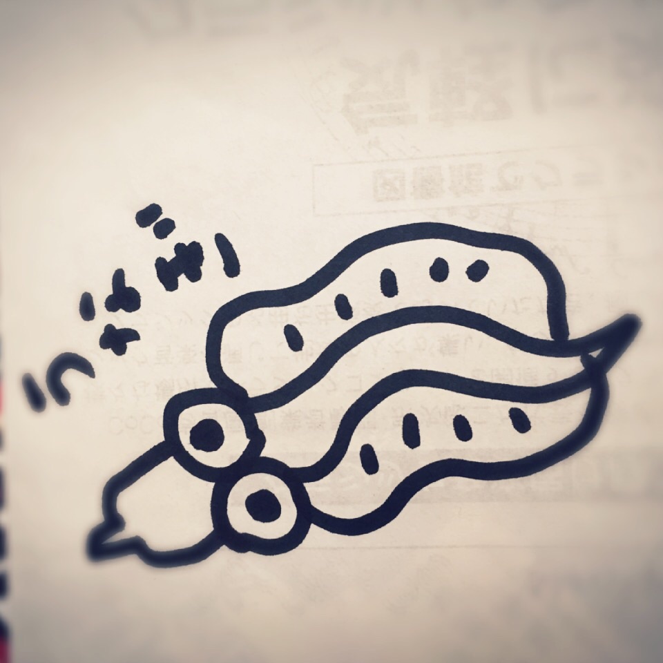 今日は丑の日！何も見ずにウナギの絵を描いてみるトピ