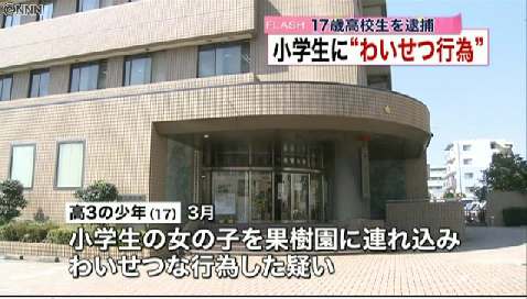 小学生にわいせつ行為、17歳高校生を逮捕