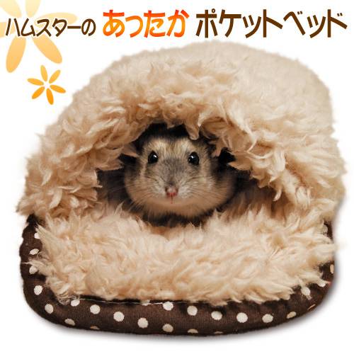 布団に入って寝るハムスターがかわいすぎると話題に