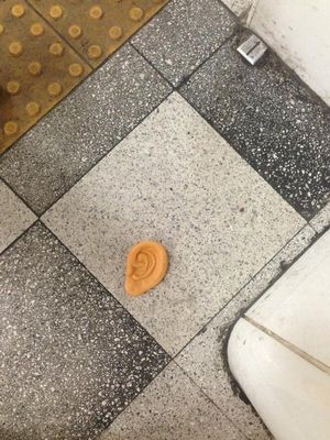 経緯が気になる“そこにあったもの”