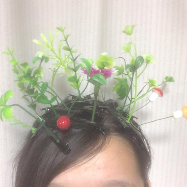 頭から発芽したように見えるヘアアクセサリーが中国・四川省で流行中