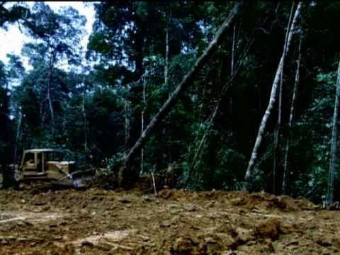 Tryo - L'hymne de nos campagnes - YouTube