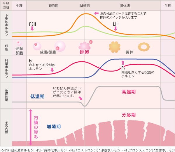 基礎体温が不安定（だった）な方