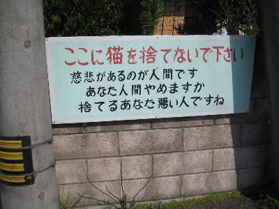夢や目標に向かって頑張っている人