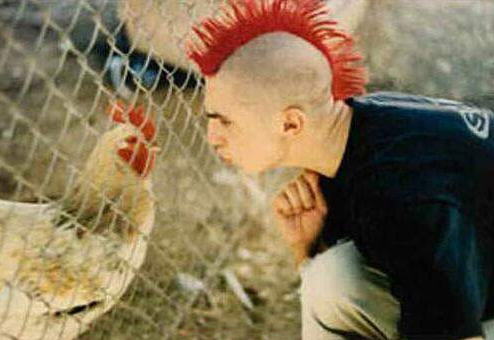 コテハンを有名人にして、ブレないコメントをするトピ