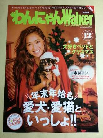 中村アンが自撮りをするためだけに飼っている犬を「嫌いです」と告白