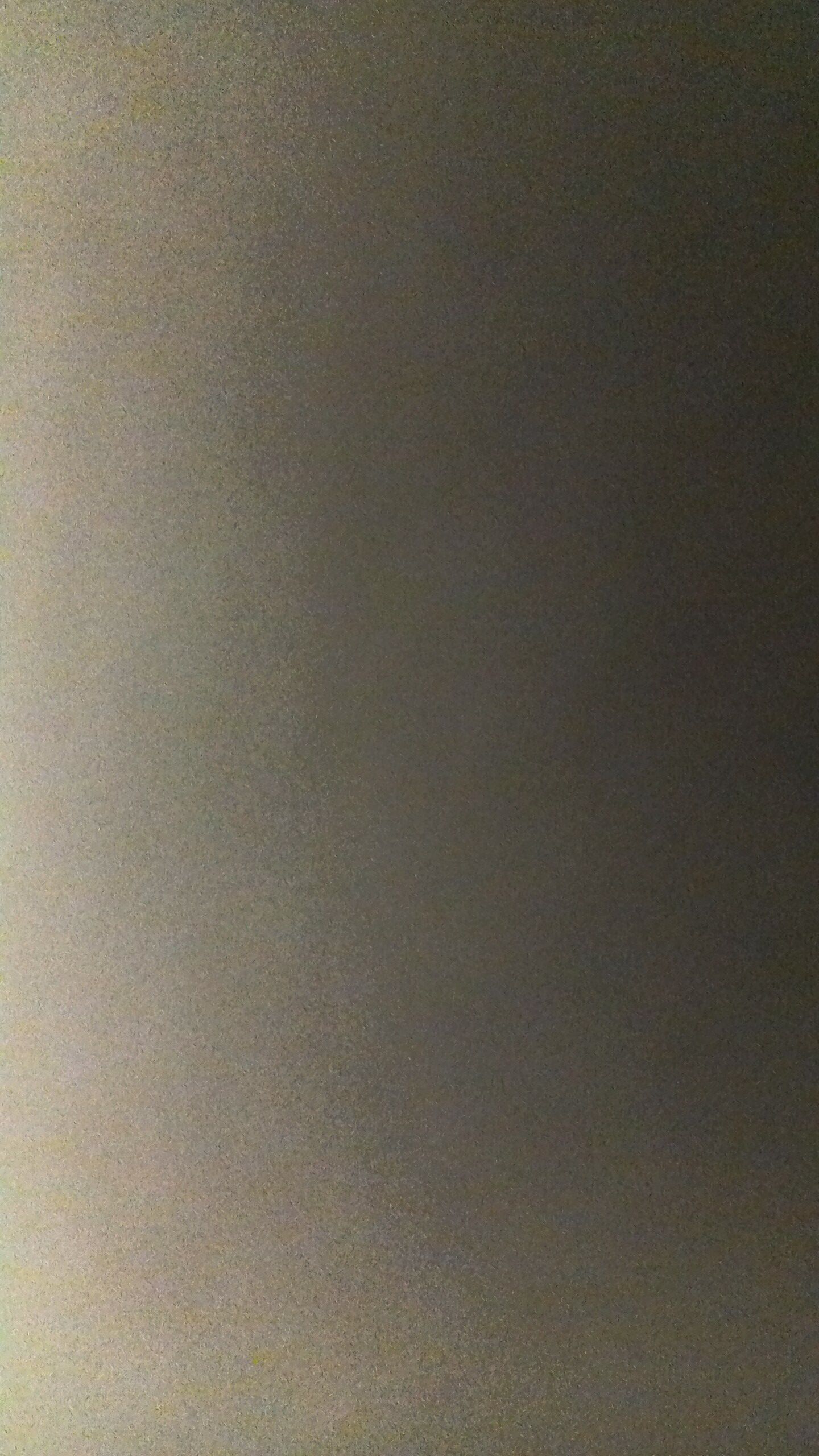 のんびり屋の人