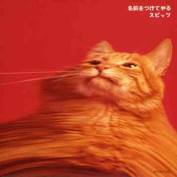 好きなアルバムジャケットを貼ろう♪