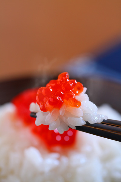 魚卵が好きな方！