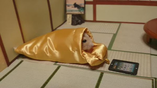 布団に入って寝るハムスターがかわいすぎると話題に