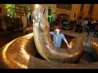 【閲覧注意?】ちょっと怖い生き物が好きな方