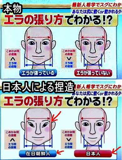 ネットをしていなかったら死ぬまで知らなかったと思うこと