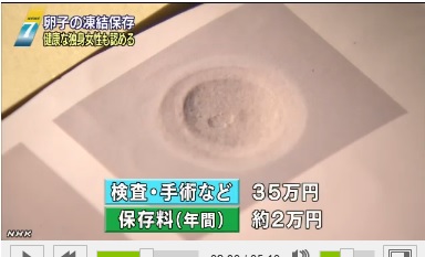 妊娠しやすいのは何歳まで？ 文科省が高校生向け副教材を作成