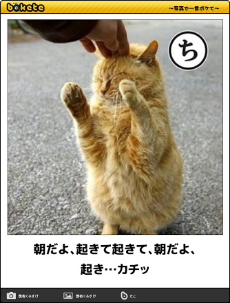 画像で会話するトピック
