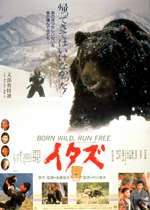 【閲覧注意】意味がわかると怖いコピペ