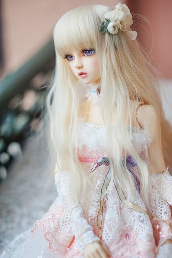 【画像】かわいいと思ったらプラス。