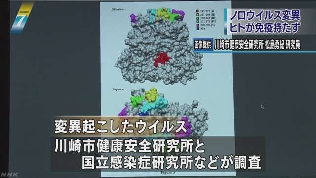 ノロウイルスが変異！ヒトが免疫を持たない新たなウイルスとなって大流行のおそれ