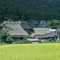 ふるさと納税ポータルサイト｜ふるさとチョイス | ふるさと納税ポータルサイト「ふるさとチョイス」 | 全国のふるさと納税 地域・特典・使い道 から選べる 「ふるさとチョイス」
