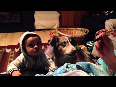Dog says mama and baby can't - YouTube