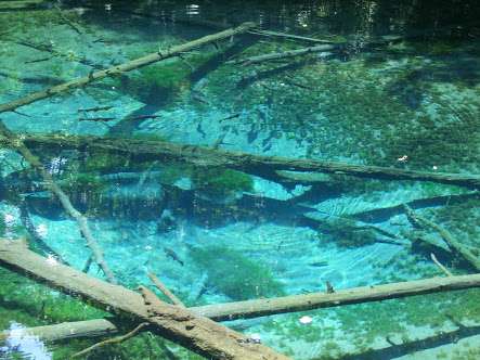 私が行った・行きたいマニアックな観光地