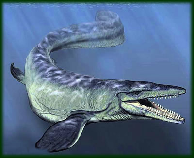 【閲覧注意?】ちょっと怖い生き物が好きな方