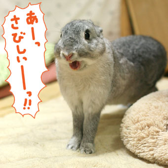 彼氏いなくて出会いがない人