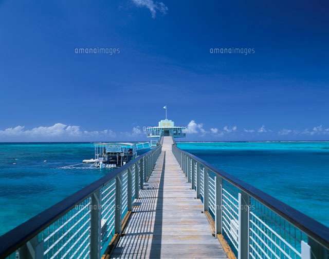 グアムに行った事のある人～