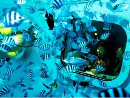 グアムに行った事のある人～