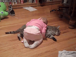 子供の微笑ましい画像