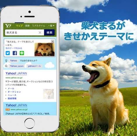 柴犬飼ってる人集まれ！
