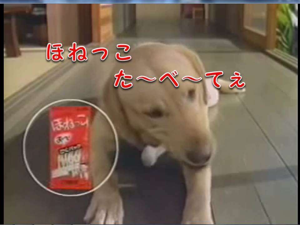 90年代にガルちゃんがあったら？