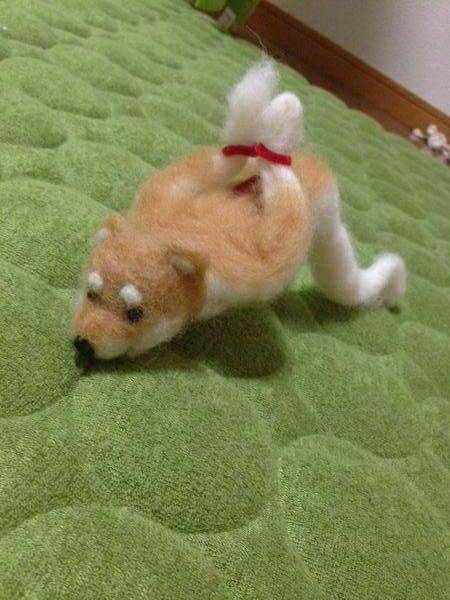 おもしろ画像をみんなで笑うトピ